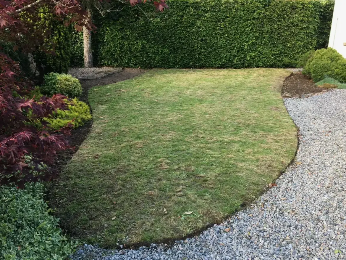 Clean patio after power washing