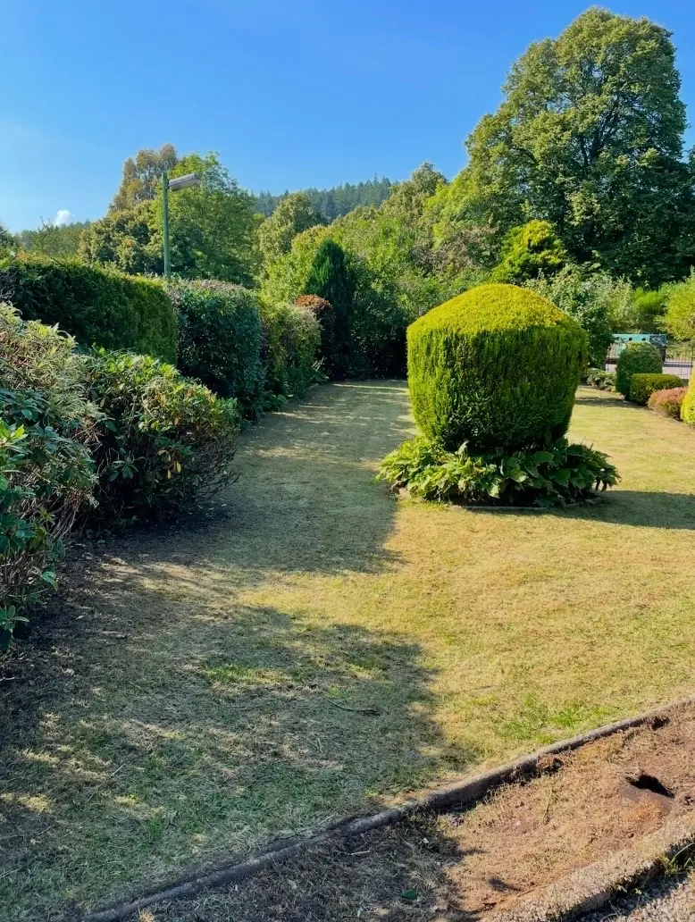 Clean and tidy garden after maintenance