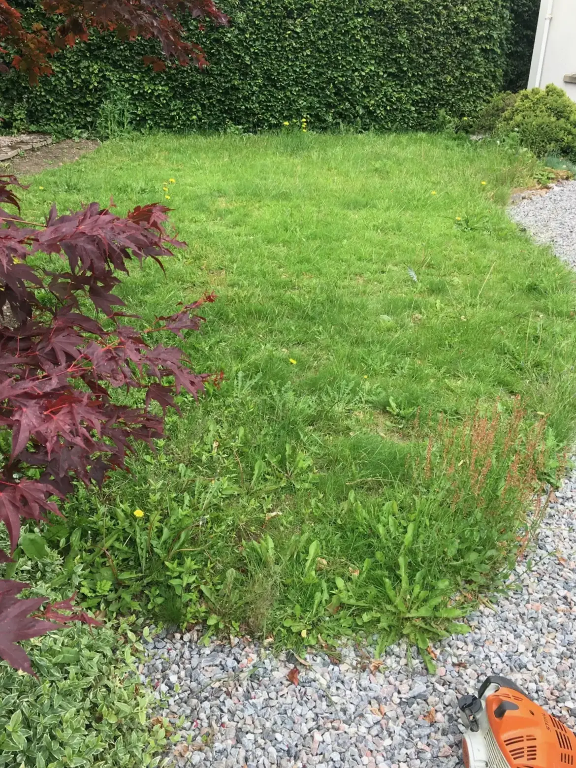 Dirty patio before power washing