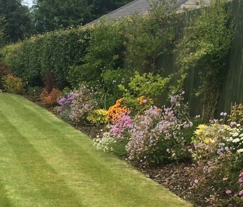 Clean and weed-free garden border